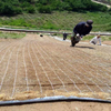 Manta de controle de erosão de fibra de coco (tapete de reforço de grama) para proteção de encostas e vegetação