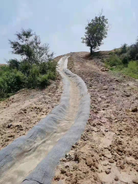 A cobertura concreta da areia de Rolls do cimento controla a esteira GCCM da erosão para o forro da vala