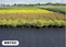 Ajardine a vegetação rasteira tecida Pe 50-100gsm da tela do geotêxtil para o controle de ervas daninhas
