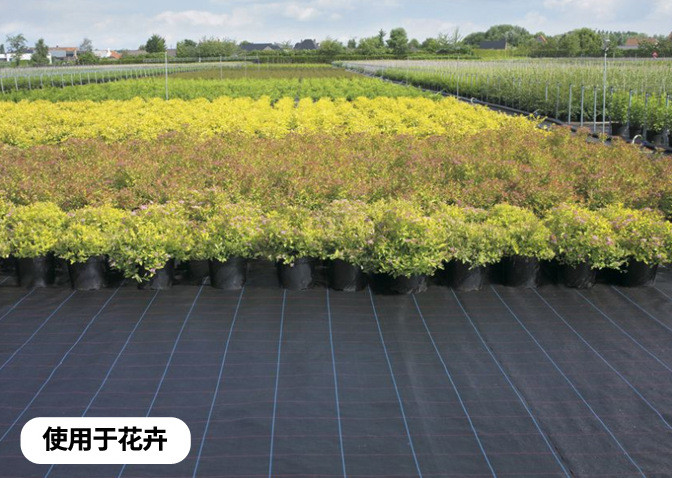 Ajardine a vegetação rasteira tecida Pe 50-100gsm da tela do geotêxtil para o controle de ervas daninhas